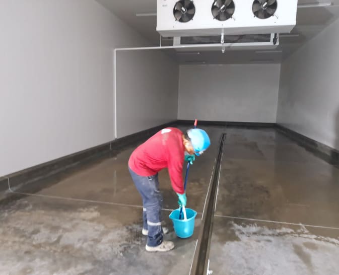 servicio terminaciones humedas lamar